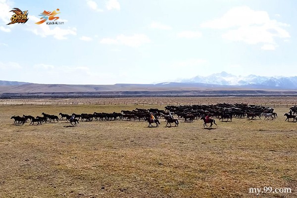 踏梦丝路，神骏入境！《魔域》马年幻兽携手张掖文旅跨界对话